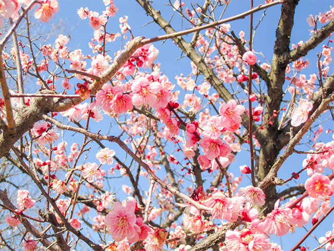 春分のエネルギー