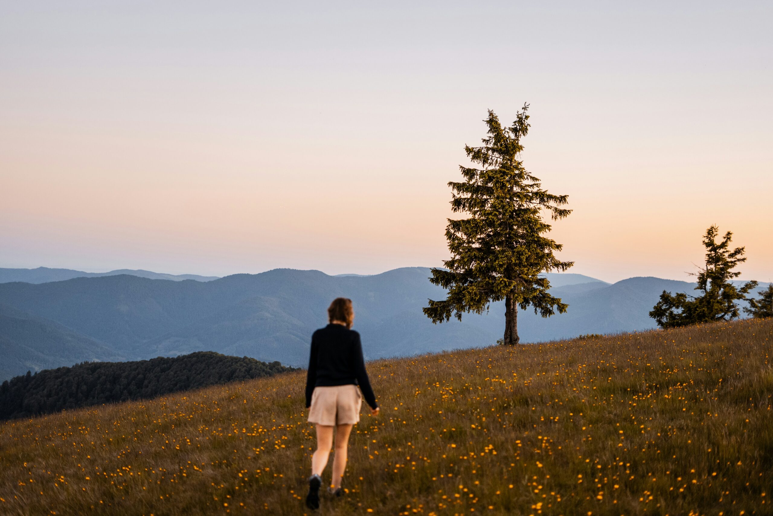 考え方・伝え方・働き方を根こそぎ更新する7年へ