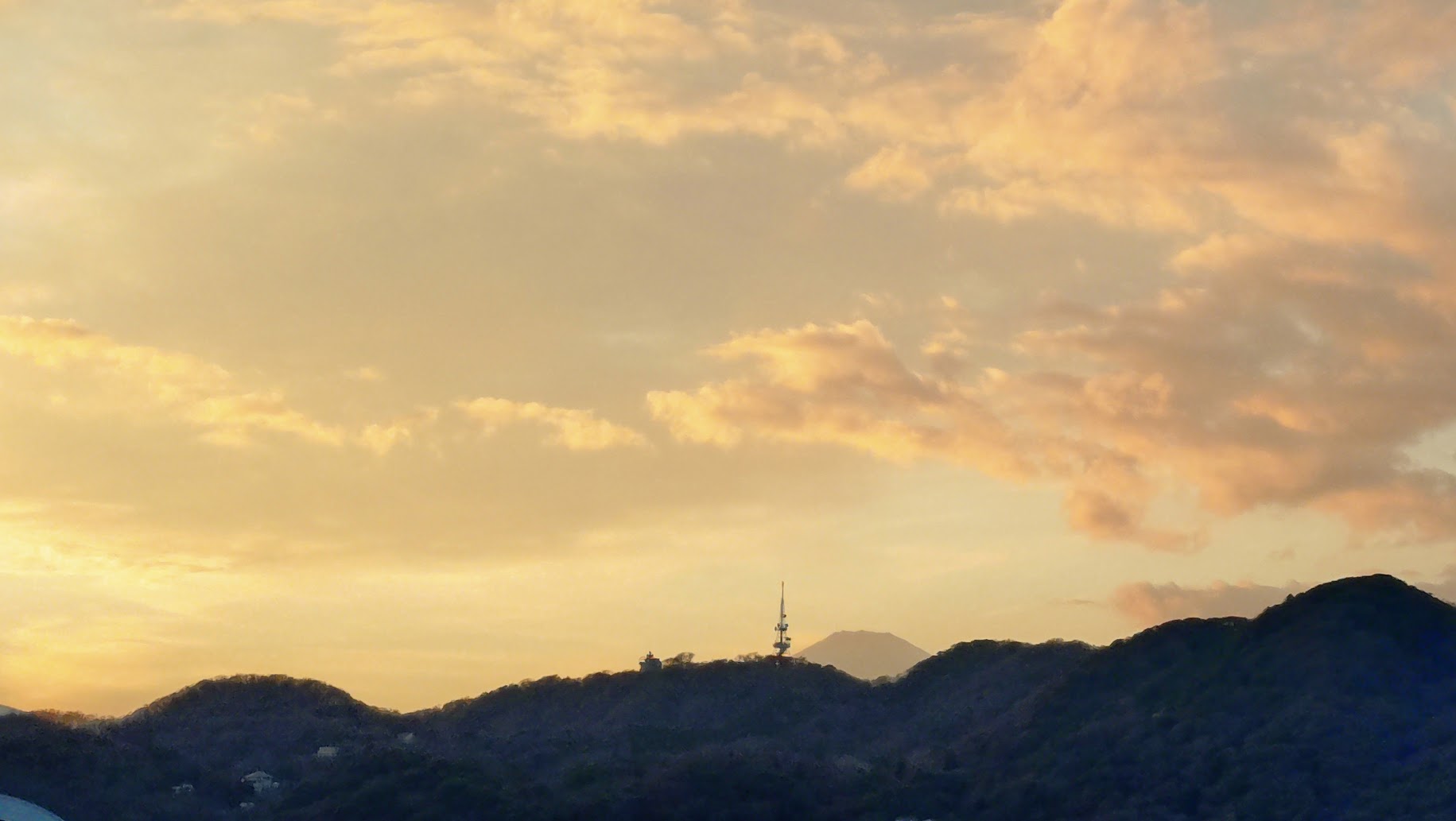 2025年 歩幅を取り戻す一年の終わりに