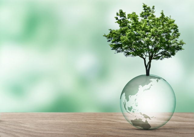 世界を見る順番